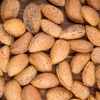 Makako (CEBAS)