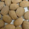 Variedad de almendra belona a raíz desnuda