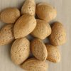 Variedad de almendra avijor a raíz desnuda