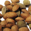 Variedad de almendra guara a raíz desnuda