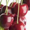 Variedad de cereza a raíz desnuda de Augusta Viveros