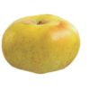 Variedad de manzana a raíz desnuda