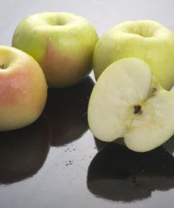 Variedad de manzana verde a raíz desnuda