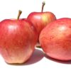 Variedad de manzana royal gala a raíz desnuda