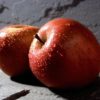 Variedad de manzana Fuji a raíz desnuda