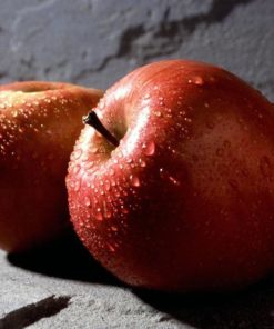 Variedad de manzana Fuji a raíz desnuda